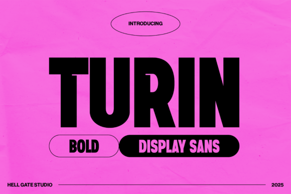 Turin Display Font for Bold Handmade Branding